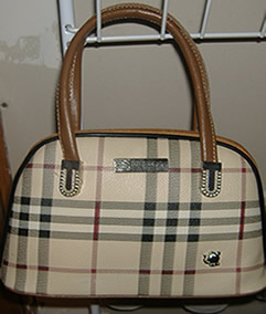 Burberry purse 1